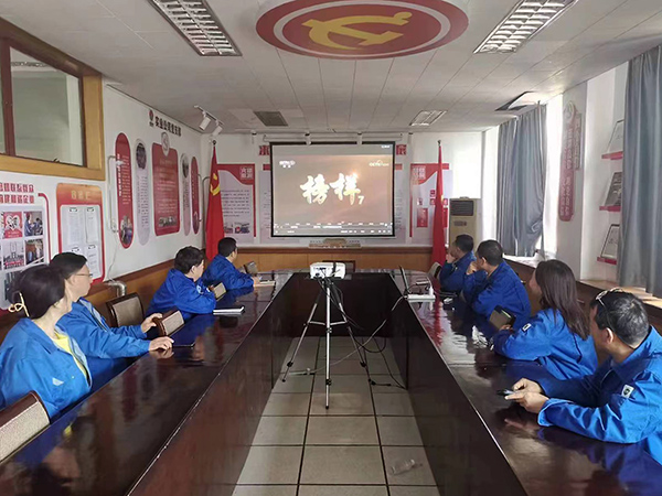 3月27日，實(shí)業(yè)公司黨支部組織黨員干部觀看榜樣7(副圖）.jpg
